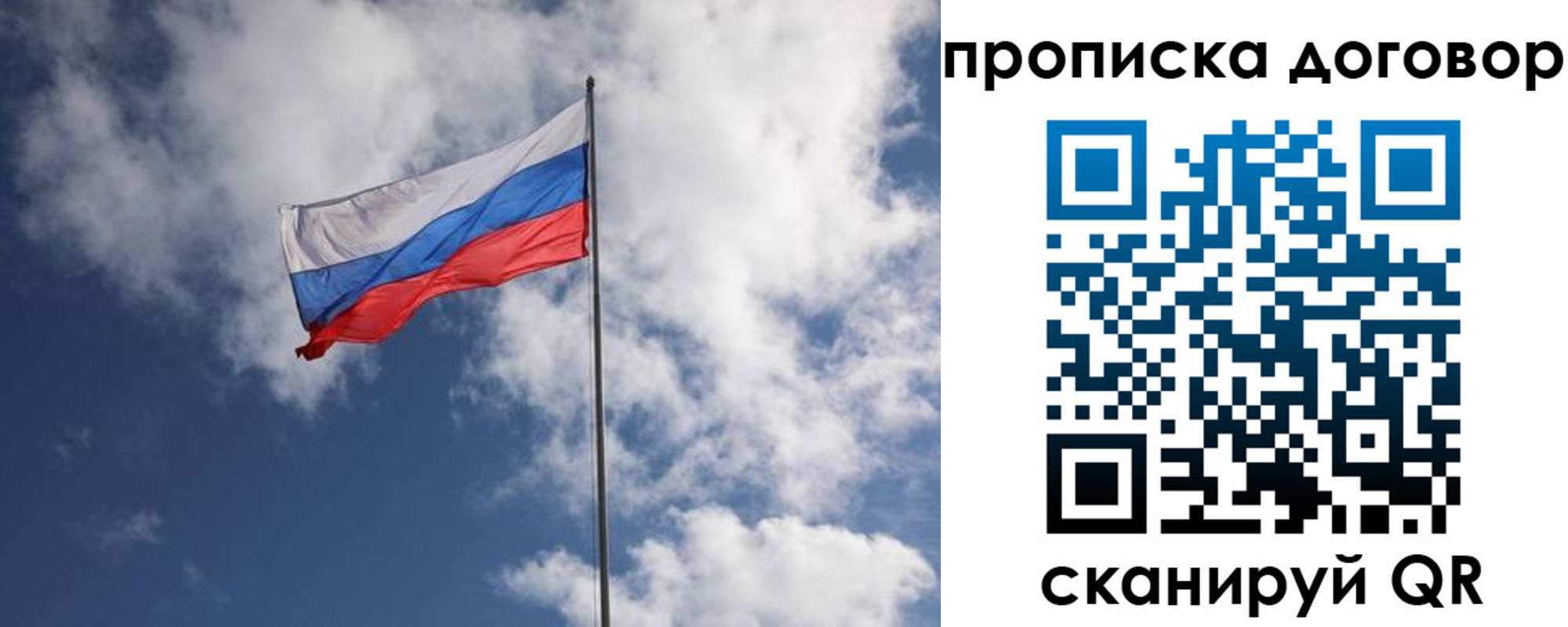 прописка поиск в Болотном